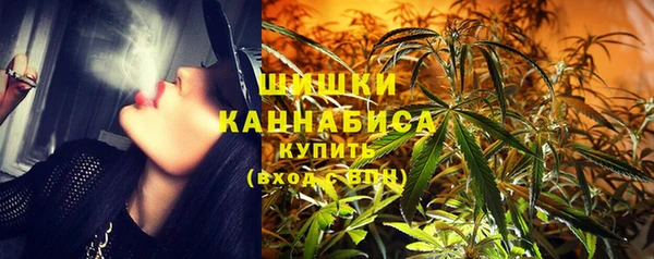 ГАЛЛЮЦИНОГЕННЫЕ ГРИБЫ Арсеньев