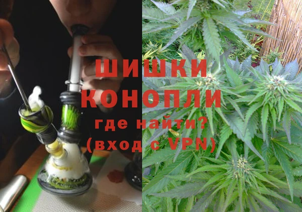 ГАЛЛЮЦИНОГЕННЫЕ ГРИБЫ Арсеньев