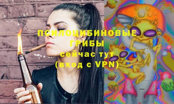 ГАЛЛЮЦИНОГЕННЫЕ ГРИБЫ Арсеньев