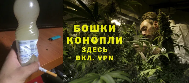 как найти наркотики  Гаврилов Посад  darknet как зайти  Бошки марихуана Ganja 